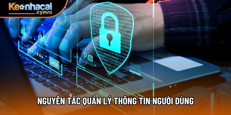 Nguyên tắc quản lý thông tin người dùng