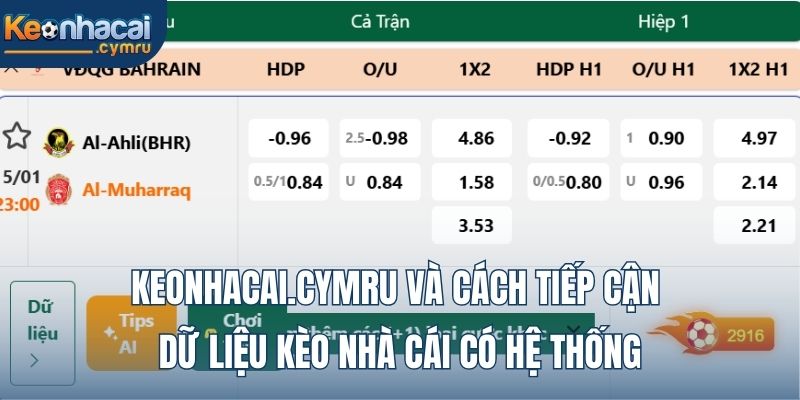Keonhacai.cymru và cách tiếp cận dữ liệu kèo nhà cái có hệ thống
