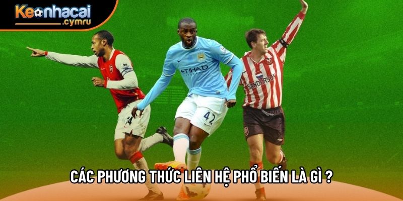Các phương thức liên hệ phổ biến là gì ?