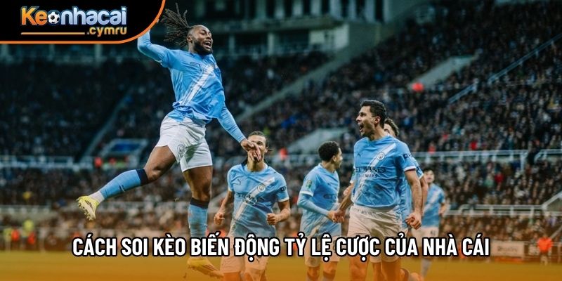 Cách soi kèo biến động tỷ lệ cược của nhà cái