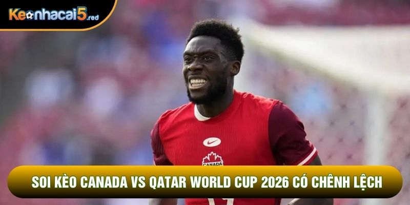 Soi kèo Canada vs Qatar World Cup 2026 có chênh lệch