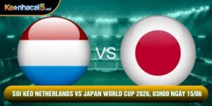Soi kèo Netherlands vs Japan World Cup 2026, 03h00 ngày 15/06