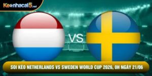 Soi Kèo Netherlands vs Sweden World Cup 2026, 0h Ngày 21/06