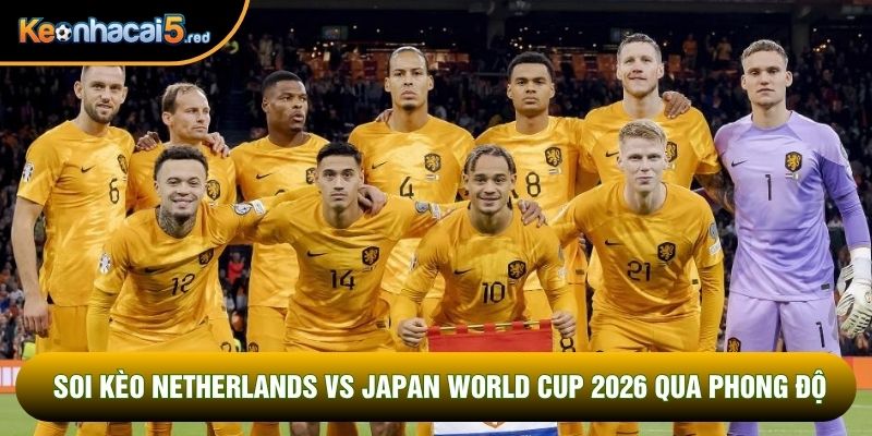 Soi kèo Netherlands vs Sweden World Cup 2026 qua phong độ