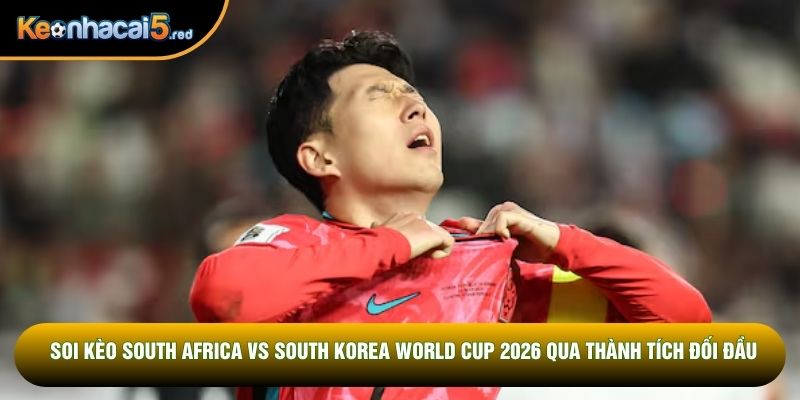 Soi kèo South Africa vs South Korea World Cup 2026 qua thành tích đối đầu