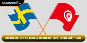 Soi kèo Sweden vs Tunisia World Cup 2026, 02h00 Ngày 15/06